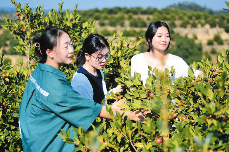 ���Ͳ�a(ch��n)�I(y��)���ϡ�AI����� �����S�h��̶�(zh��n)�Ըɲ����ܞ�a(ch��n)�I(y��)ע���»���