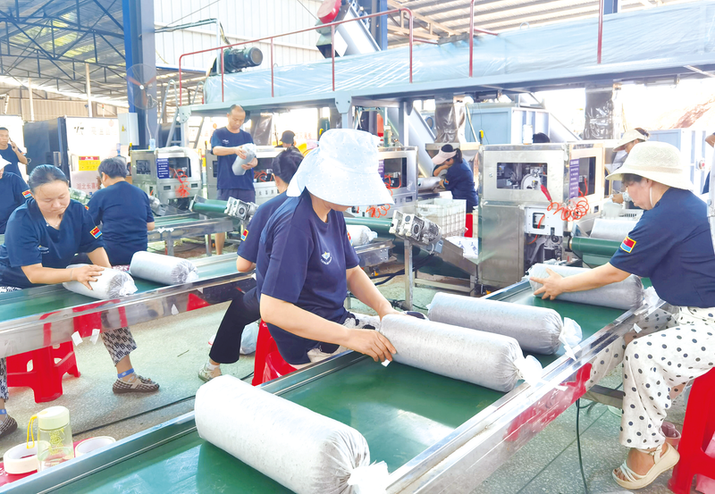 �����M�l(xi��ng)�忴���d���P�����㹽����