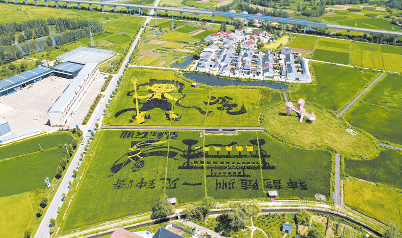 ���Ҿ������ﮋ������