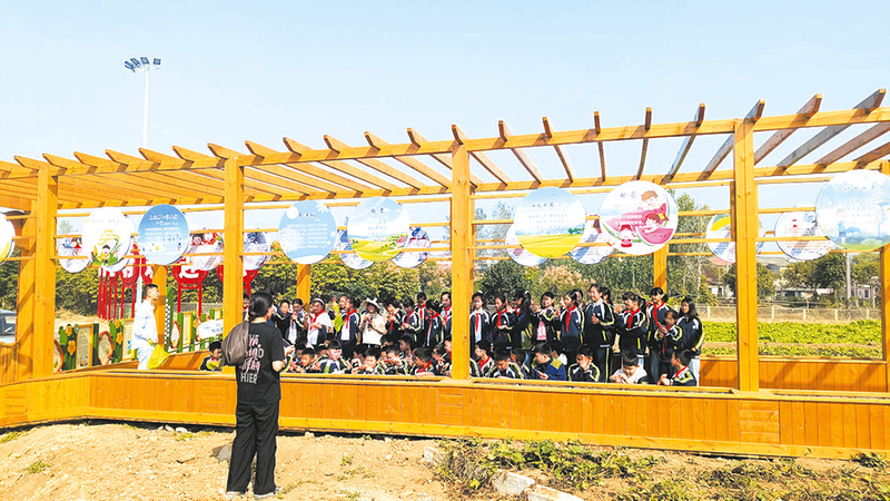 �����^(q��)���S�W(xu��)У���ƌW(xu��)����  ��(m��ng)�뻨�_