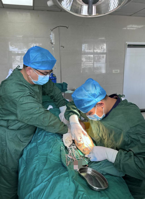 �t(y��)���w�x���@��Ч���ε��(zh��n)�����l(w��i)��Ժ�ɹ���ɏ�(f��)�s��֫�o�}�������g(sh��)