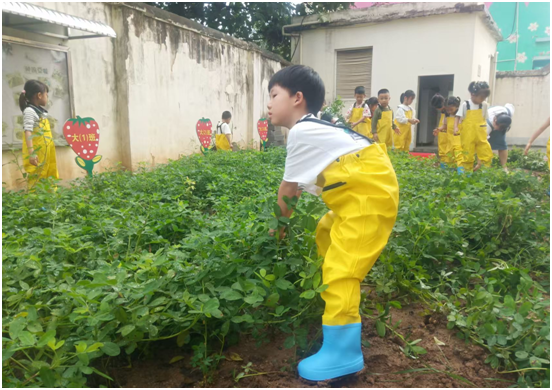 �S�h�ݵ��(zh��n)�����׃��@�_չ�����»��������`���