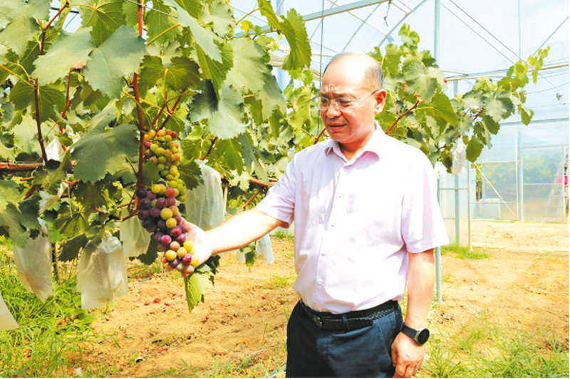 �S���П��݌��u�֣���˾���l(xi��ng)�����d�ͷ������o(j��)��