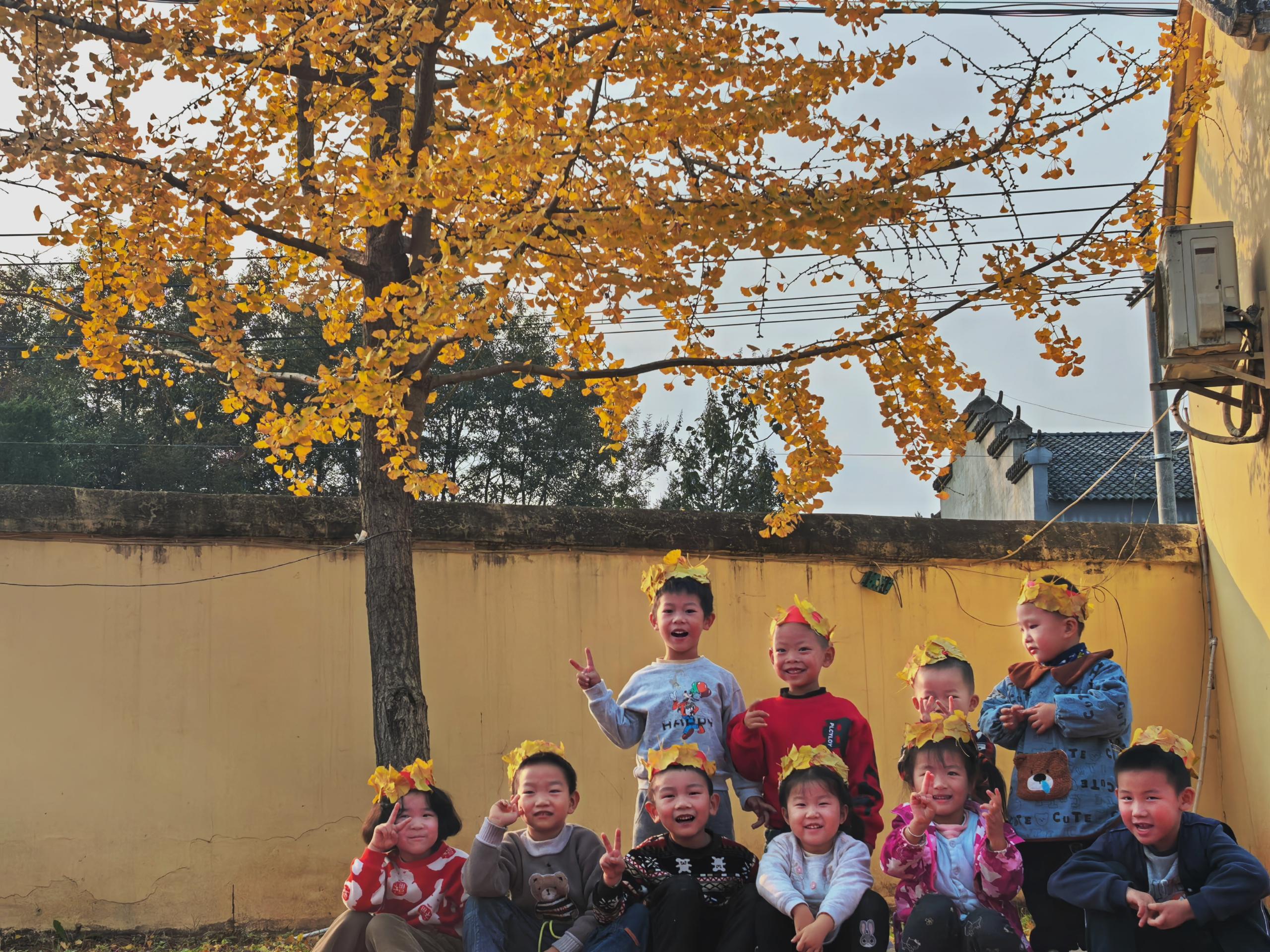 ����(zh��n)����С�W(xu��)�����׃��@̽���y���~�����Ȼ����