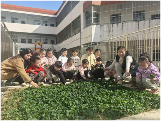 ����(y��u)���I(y��ng)�̭h(hu��n)�����ķ�W(xu��)У�����׃��@�_(k��i)չ�Nֲ�@�^�쌍(sh��)�`���(d��ng)