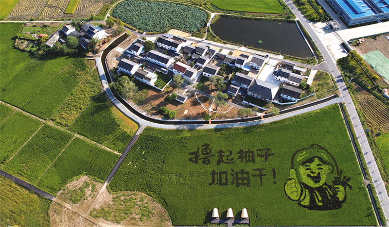 �S�ݡ�ʮ���塱��(j��ng)��(j��)������|(zh��)���l(f��)չϵ�Ј��֮�l(xi��ng)��ƪ