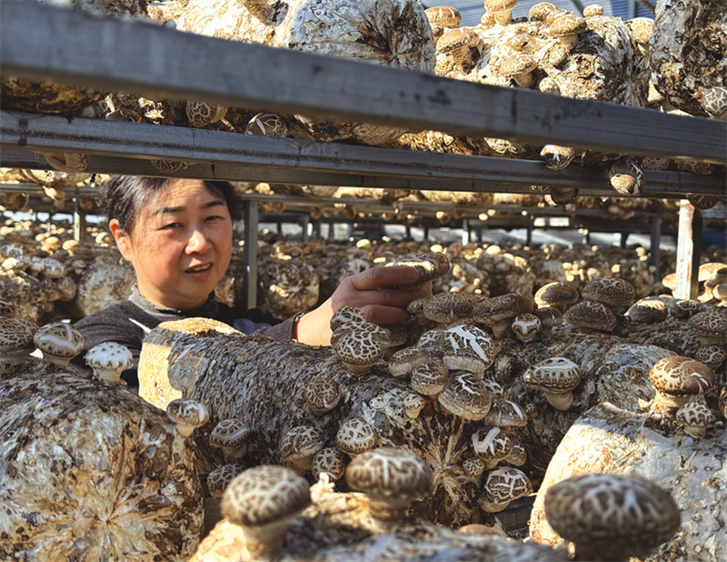 ���´��߻��ӡ�����(zh��n)�����壺���w��(j��ng)��(j��)���_(t��i) �㹽����������d��