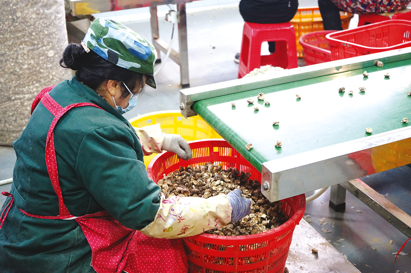 ���Zȡ�_�T�t���ЅR�r�I(y��)�_���´����_�T�t��