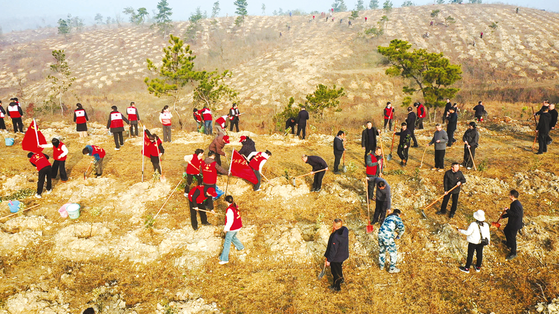 �S�����I(l��ng)��(d��o)�����x��(w��)ֲ����