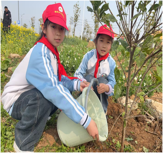 �S�h��ɽ���W(xu��)У�_չֲ�九(ji��)���}������(sh��)�`���(d��ng)