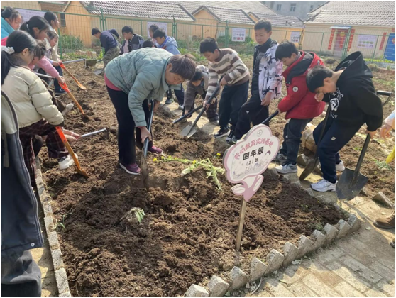 �f�����r(n��ng)������С�W(xu��)����У�y�ָ����� �ڄӌ�(sh��)�`�ٳ��L